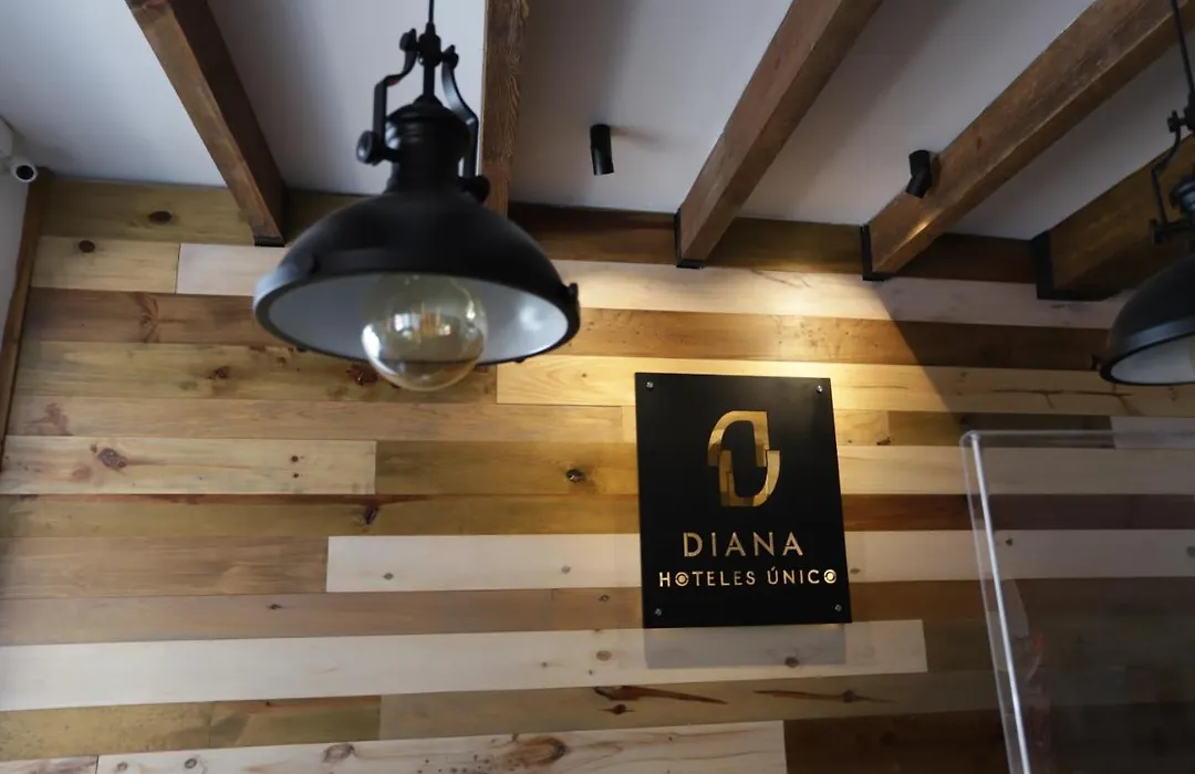 Hotel Diana-1